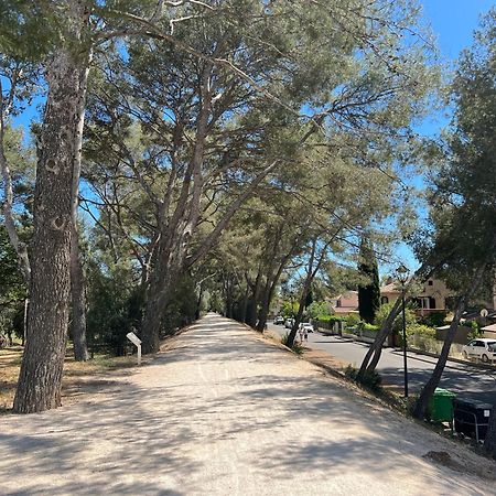 Petit Mas Au Paradis Avec Piscine Pour 6 Personnes La Londe-les-Maures Dış mekan fotoğraf